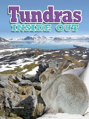 cover image of Tundras Inside Out